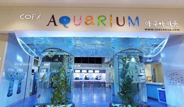 coex-aquarium1
